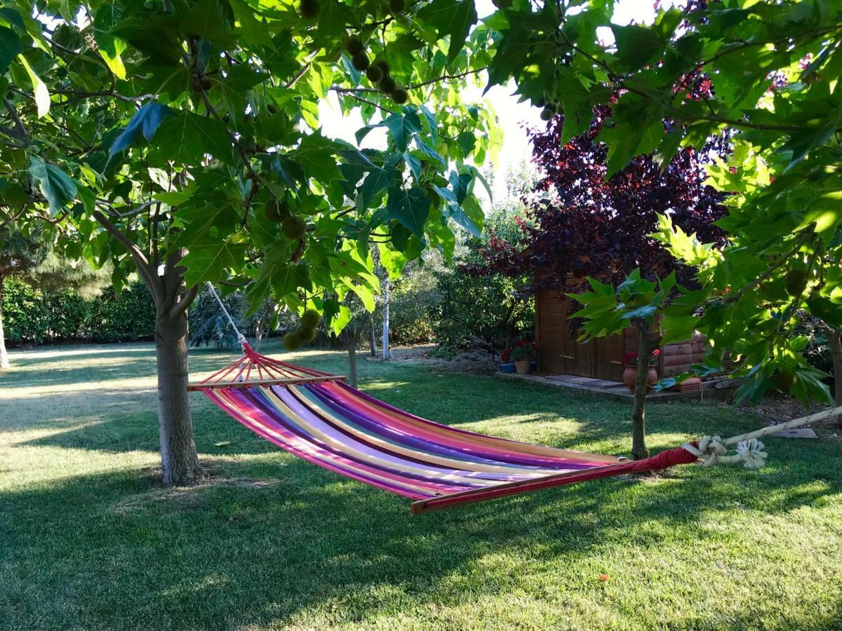 Plane Tree House * Makri